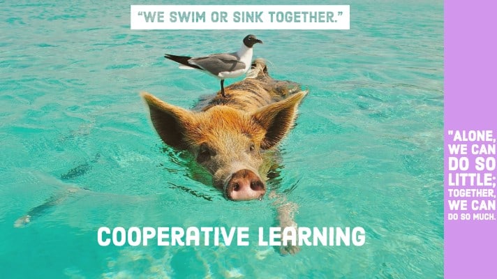 We Swim or Sink Together: The Crux of Cooperative Learning